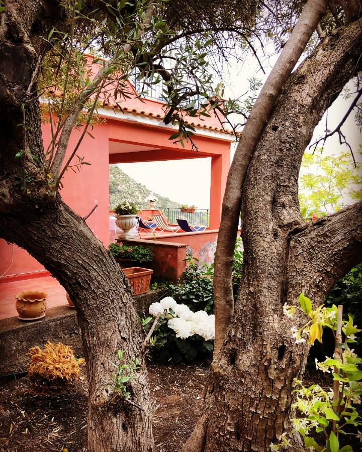 Villa Le Petit Paradis ตาออร์มินา ภายนอก รูปภาพ
